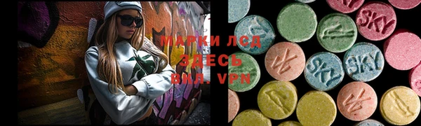 твердый Ладушкин